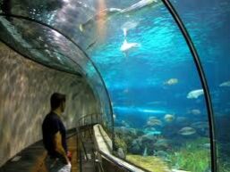 Vidrio curvado GLASSCURCID para acuario